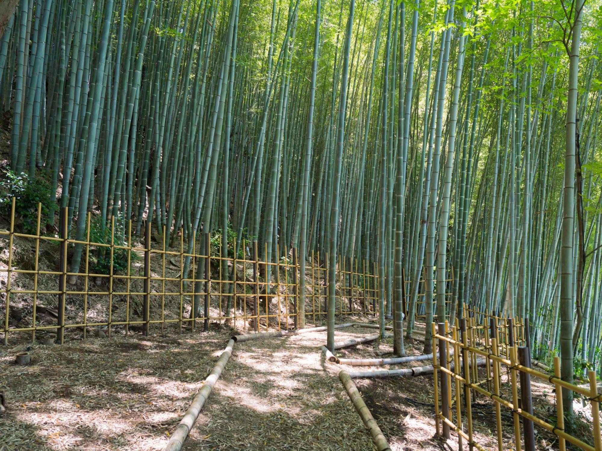 Hotel Banyan Tree Higashiyama Kyōto Esterno foto